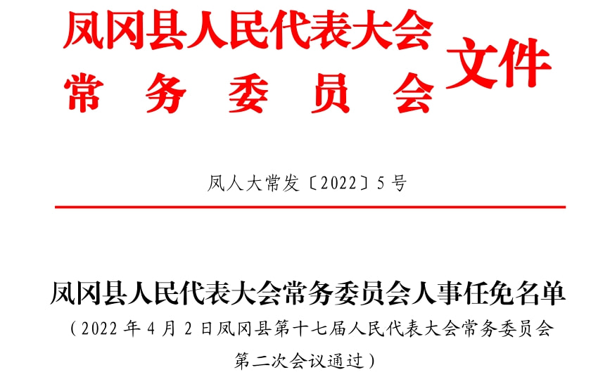 鹤峰县人民政府办公室人事任命，引领县域发展，开启新篇章