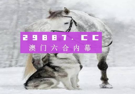 77777788888王中王跑狗软件介绍,理论解答解析说明_BT21.273