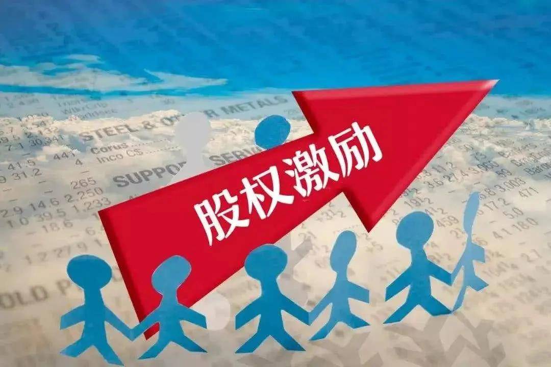 澳门花仙子官网,高效实施方法解析_定制版8.213